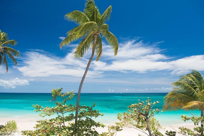 Grenada West Coast: Waterfalls, Chocolate & Rum Half-Day Tour - Annandale Falls: a short stop with local color