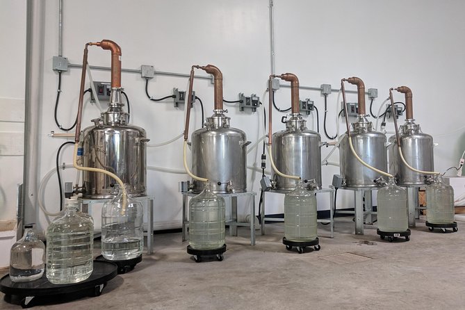 Guided Distillery Tour & Rum Tasting - How to plan the tasting safely