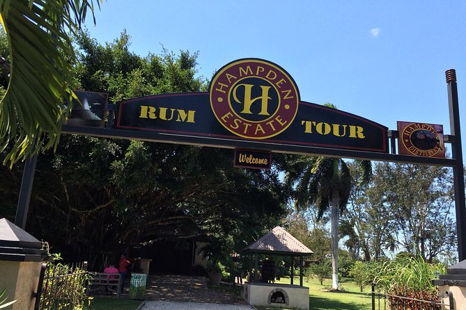 Hampden Estate Rum Tour and Lunch from Falmouth - Rum Sampling, Ice-Tea, and Jamaican Lunch