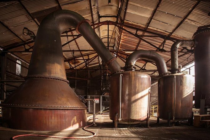 Hampden Estate Rum Tour and Lunch from Falmouth - Walking the 260-Year-Old Estate