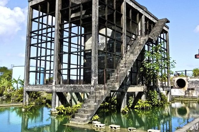 Hampden Estate Rum Tour and Lunch from Montego Bay - Entering a 270-year-old Jamaican estate