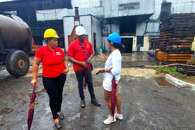 Hampden Estate Rum Tour and Lunch from Montego Bay - Why the Jamaican lunch matters