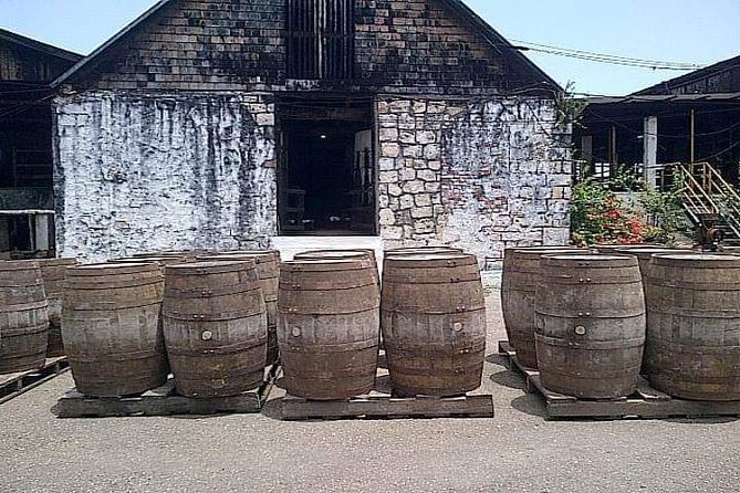 Hampden Estate Rum Tour and Lunch from Montego Bay - Sugar cane juice and the first steps of rum