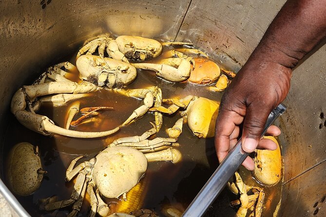 Jamaican Street Food and Rum Tasting Private Tour - Is $90 per person good value?