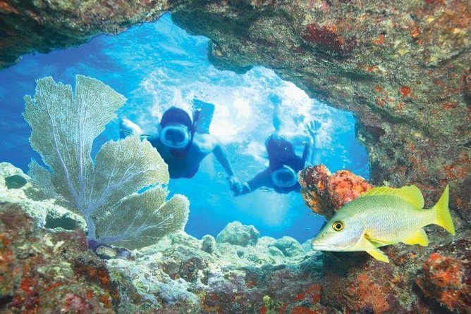 Key West Rum and Reggae: Reef Snorkel Adventure and Sunset Sail - Reggae, sunset, and the ride home