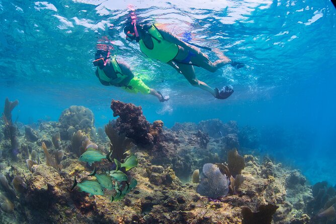 Key West Rum and Reggae: Reef Snorkel Adventure and Sunset Sail - Practical details before you go