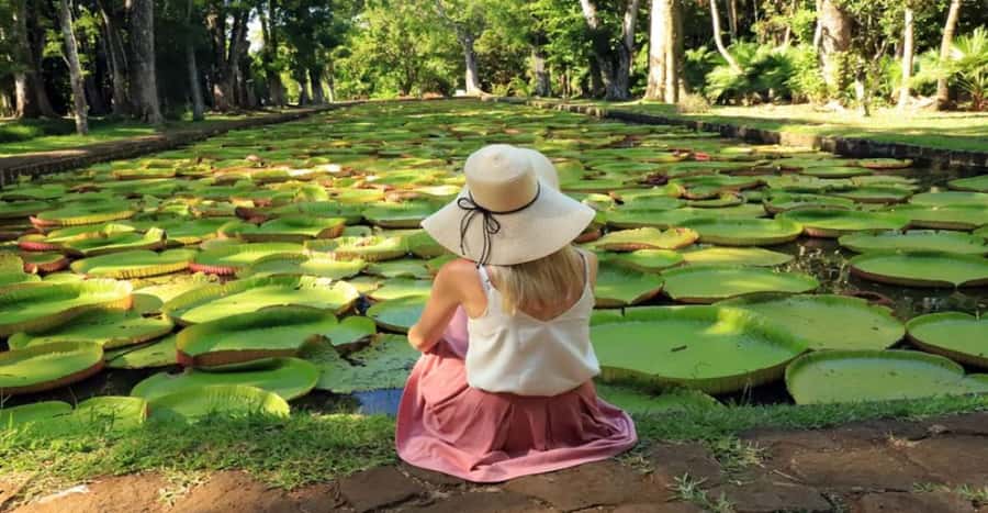 local Market,Botanical garden,Rum tasting & authentic Lunch - Why this northern Mauritius route works