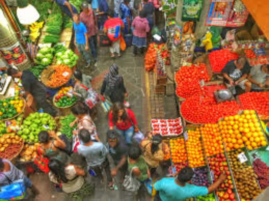 local Market,Botanical garden,Rum tasting & authentic Lunch - Pamplemousses Botanical Garden is the day’s visual highlight