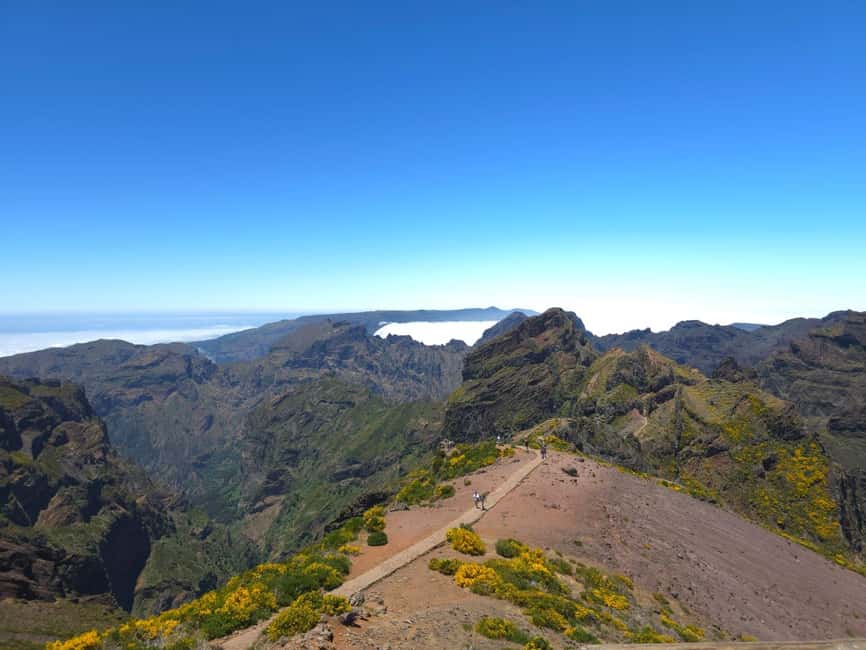 Madeira: East Island Tour with Rum Tasting - Guide language and group size