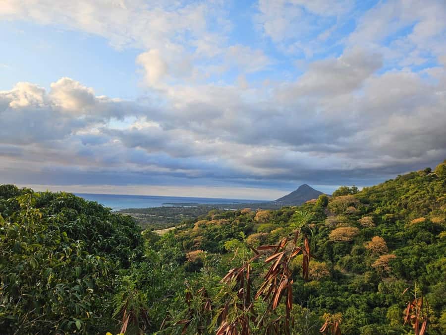 Mauritius: Sights of the South Private Tour with Rum Tasting - Mare aux Vacoas: a quiet forest stop