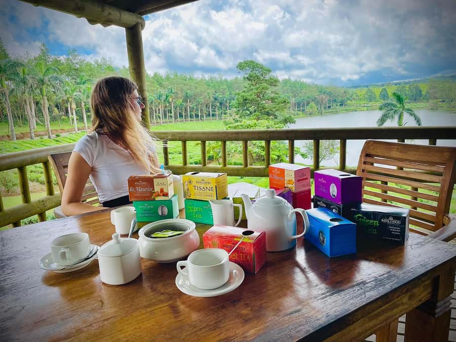 Mauritius: Tea, Rum and Vanilla Route with Lunch and Pickup - Inside Bois Chéri’s tea factory