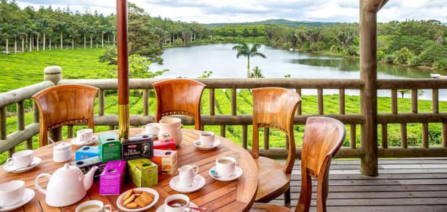 Mauritius: Tea, Rum and Vanilla Route with Lunch and Pickup - Tea tasting at the chalet