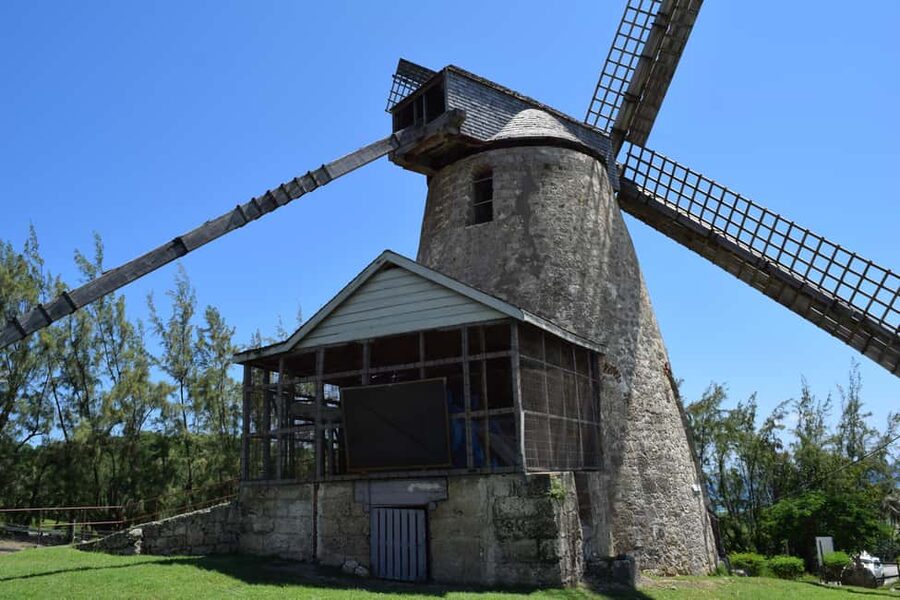 Monkey Feeding & Historic Sugar Plantation & Rum Distillery - Cherry Tree Hill and the steam train choice