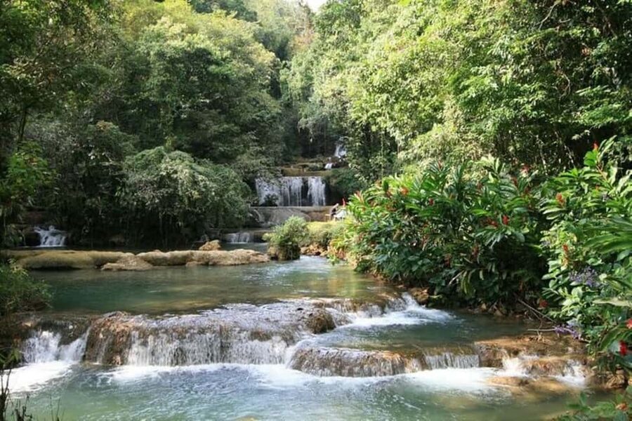 Montego Bay: YS Falls and Appleton Rum Private Tour by Van - The private van makes the distance easier