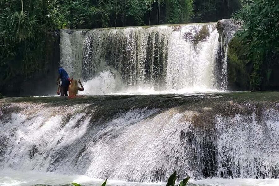 Montego Bay: YS Falls and Appleton Rum Private Tour by Van - What the $295 price really covers