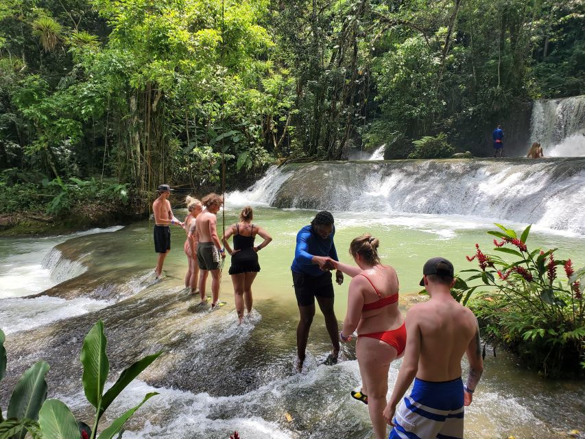 Montego Bay: YS Falls and Appleton Rum Private Tour by Van - Practical planning before you leave