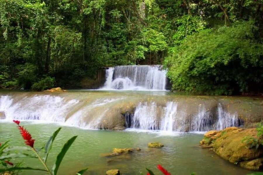 Montego Bay: YS Falls and Appleton Rum Private Tour by Van - YS Falls offers the day’s best swim