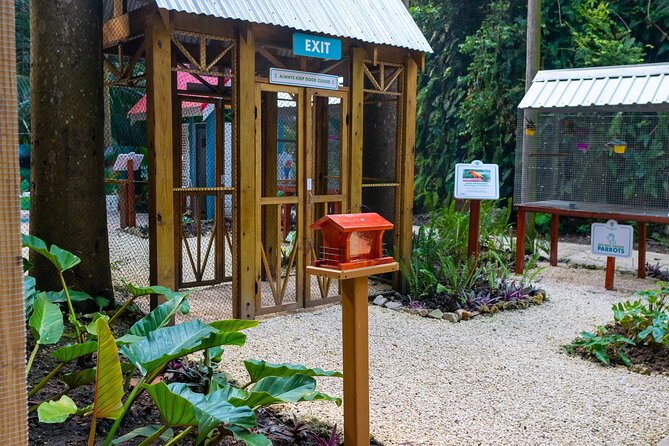 Nature Trail, Tram & Rum Tasting at Harrison's Cave by Chukka - Lunch beside the pool