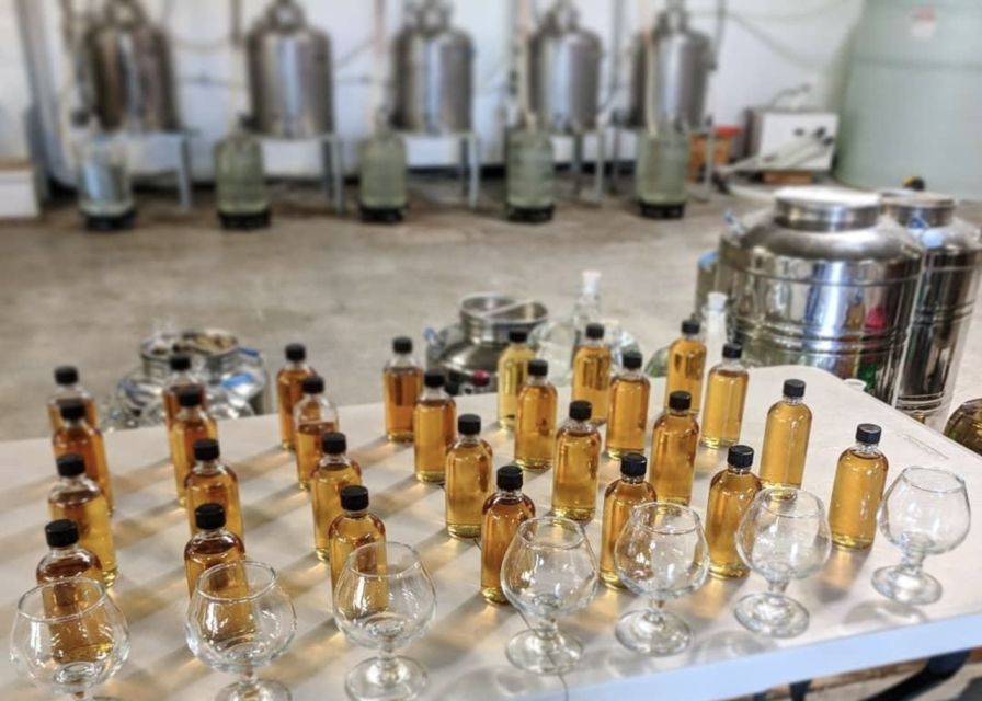 New Orleans: Guided Rum Distillery Tour and Tasting - Seeing fermentation, distillation, and aging up close