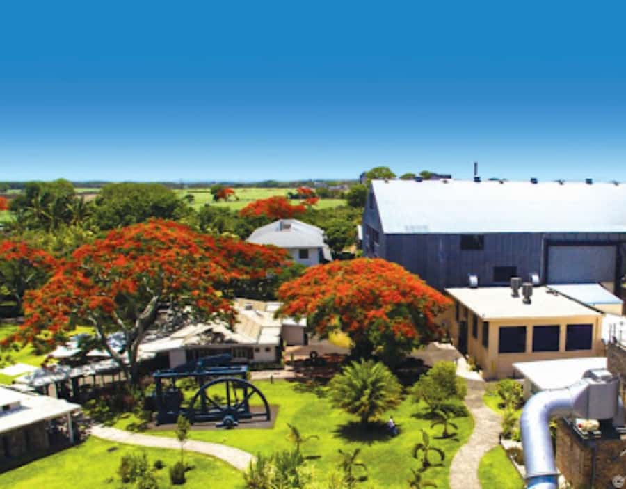 North Day Tour, Botanical Garden, Sugar Museum, Rum Tasting - Why this northern route works so well