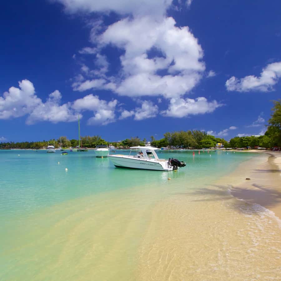 North Day Tour, Botanical Garden, Sugar Museum, Rum Tasting - Port Louis: the island’s historic capital