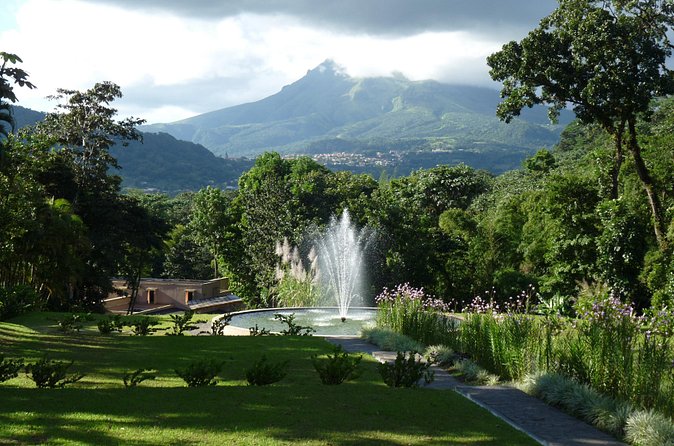 North Tour: rainforest, rum distillery, black sand beach etc - Depaz rum at the foot of Mount Pelée