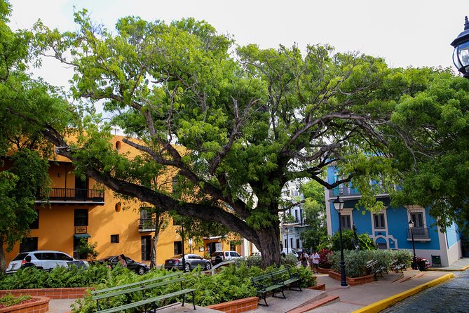 Old San Juan and Rum Factory Full-Day Tour: Minimum 8+ people - Comfort, walking, and the six-hour pace