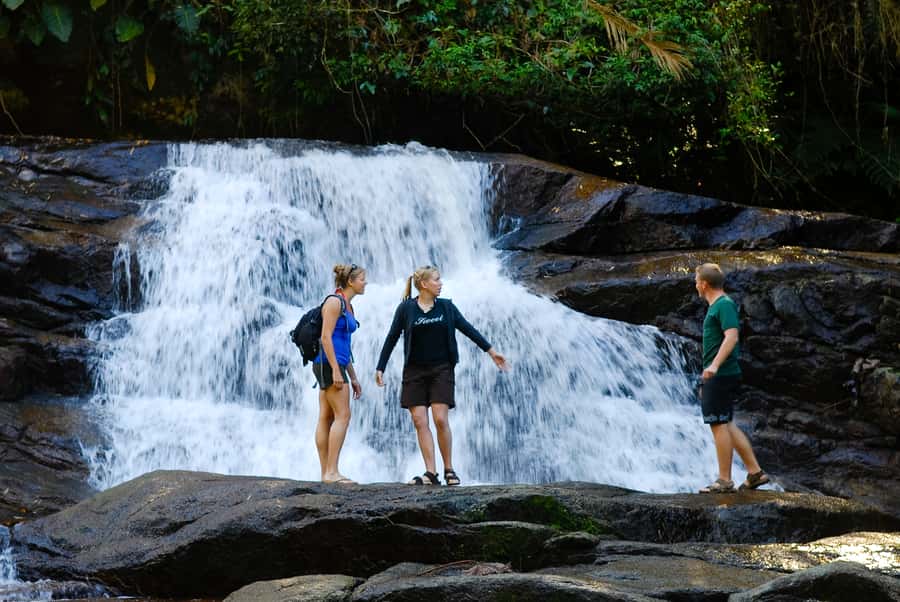 Paraty: Jungle Waterfalls and Cachaça Distillery Jeep Tour - Why this six-hour jeep tour works so well