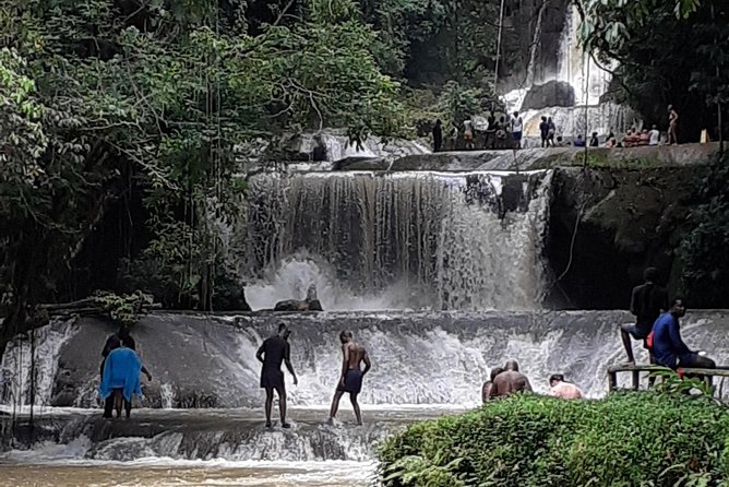 Pelican Bar, Appleton Rum Tour, YS Falls Jamaica south coast experience Montego - Who will enjoy this outing most