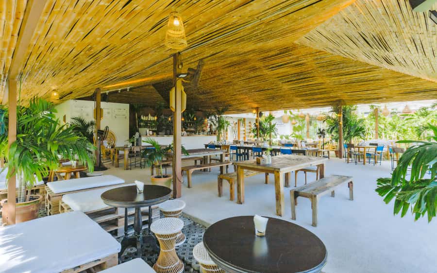 Phuket: Chalong Bay Rum & Big Buddha Half Day Private Tour - Why fresh cane juice makes this rum visit different