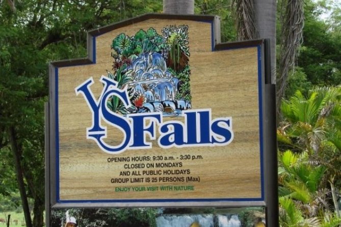 Private Appleton Estate Rum & YS Falls Tour from Montego Bay - Is the $225 price fair?