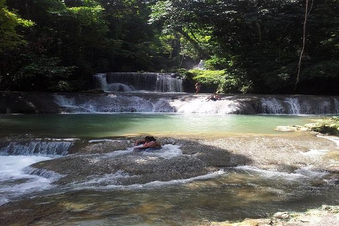 Private Appleton Estate Rum & YS Falls Tour from Montego Bay - Should you book the Appleton and YS Falls tour?