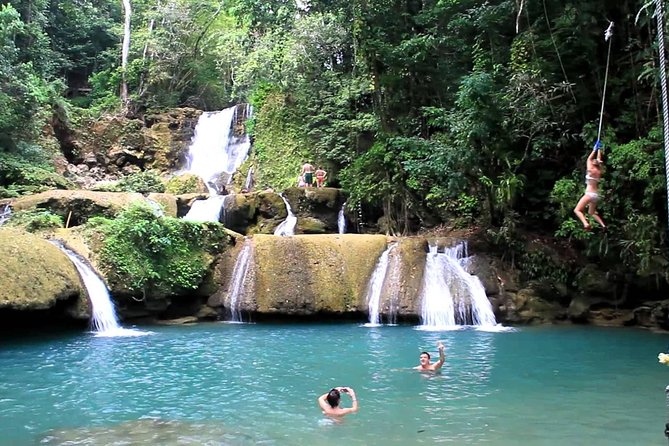 Private Appleton Estate Rum & YS Falls Tour from Montego Bay - Why Appleton is worth the morning