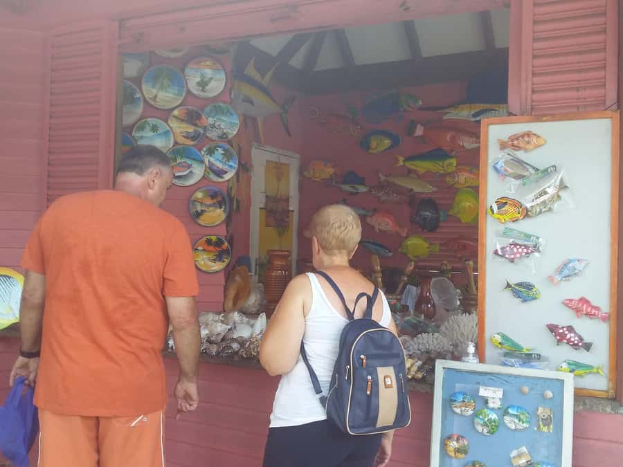 Private half day tour with free rum tasting - A private introduction to Mahé in five hours