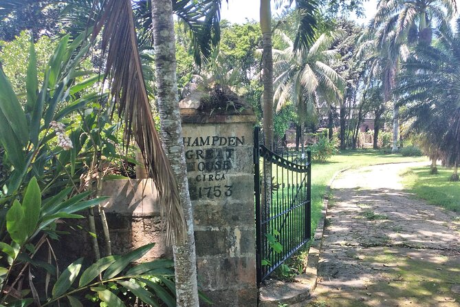 Private Hampden Estate Rum Tour from Montego Bay or Falmouth - The Trelawny method and high-ester rum