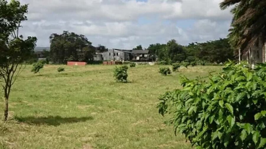 Private Hampden Estate Rum Trip from Montego Bay - Key points to know before you book