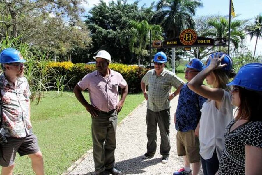 Private Hampden Estate Rum Trip from Montego Bay - The Queen of Spain Valley setting