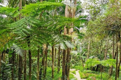 Puerto Plata City Tour with the Mount Isabel, Rum & Chocolate