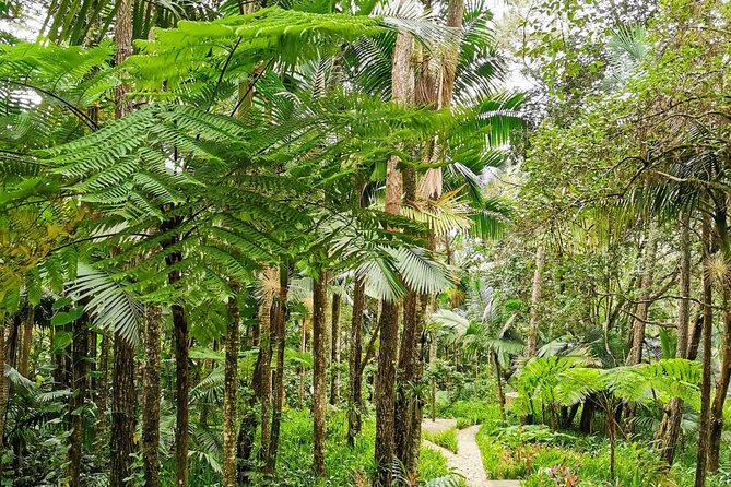 Puerto Plata City Tour with the Mount Isabel, Rum & Chocolate - Rum, sugarcane, and the limits of the factory visit