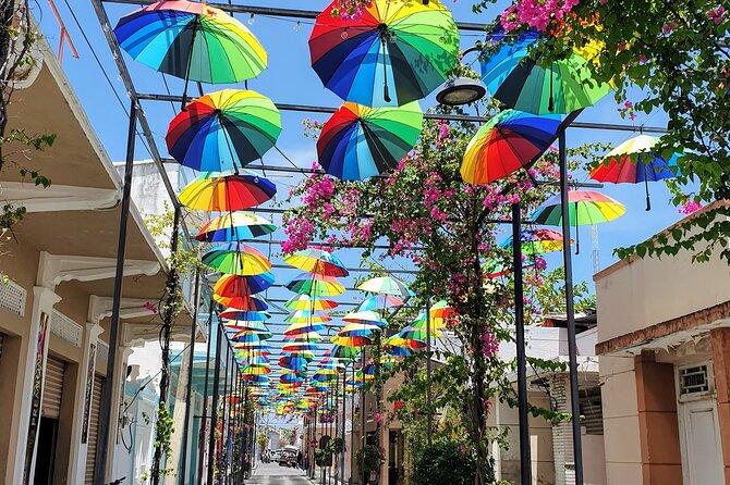 Puerto Plata Private City Tour with Mount Isabel & Rum &Chocolate - Why this private Puerto Plata tour works well