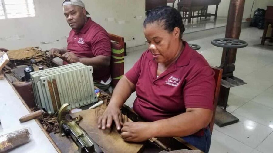 Punta Cana: Don Lucas Cigar, Chocolate, & Rum Tour - Watching cigars take shape at Don Lucas