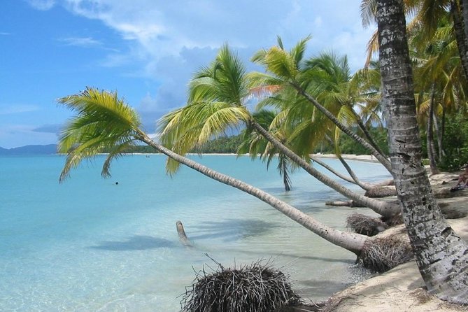 Rum and Salines paradise beach - A half-day route through southern Martinique