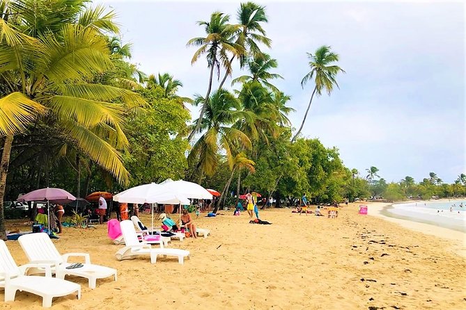 Rum and Salines paradise beach - Sainte-Luce and the Trois Rivieres rum stop