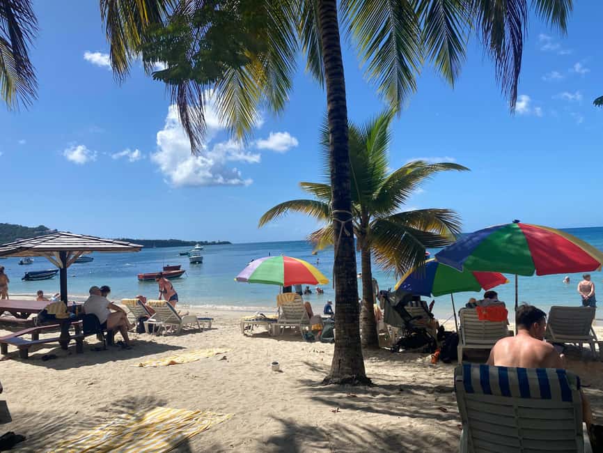 Rum Beer And Beach Tour - Timing matters most for cruise passengers