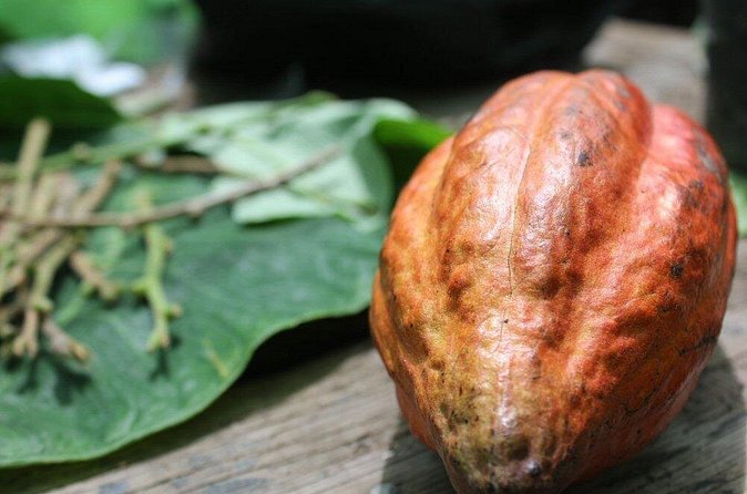 Rum & Chocolate Tasting Tour : Journey into Flavor - What to Know Before You Book