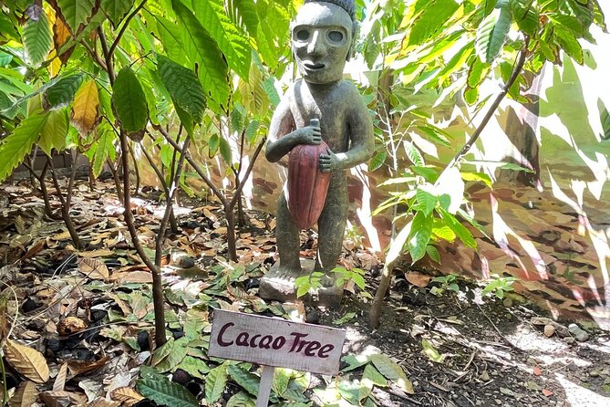 Sabor Dominicano: Rum, Chocolate and Culture Private Tour - Why the private vehicle and guide matter