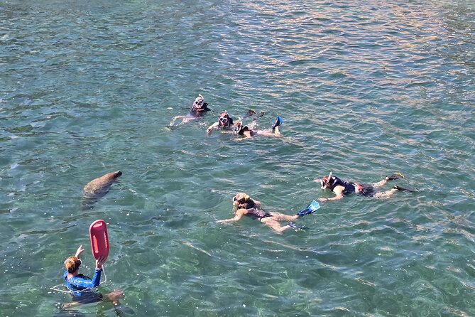 San Juan Snorkel with Turtles and Manatee's; Free Video and Rum! - Swimming out from Playita del Condado