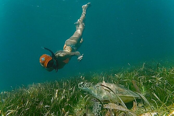 San Juan Snorkel with Turtles and Manatee's; Free Video and Rum! - The free video and island rum