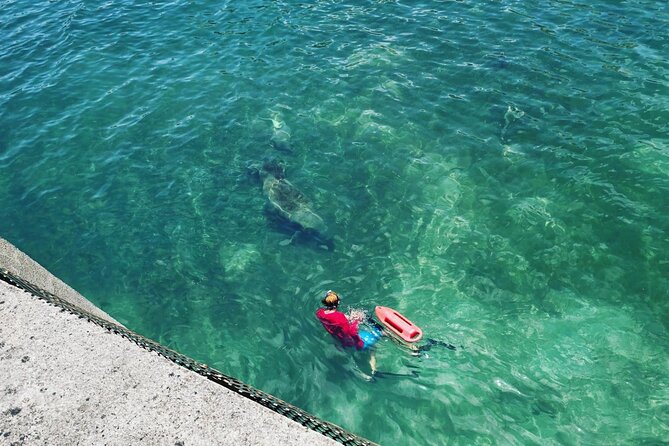 San Juan Snorkel with Turtles and Manatee's; Free Video and Rum! - How the $82 price measures up
