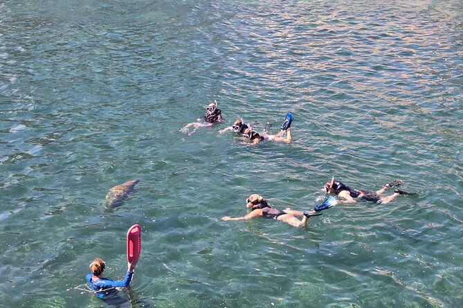 San Juan Snorkel with Turtles and Manatee's; Free Video and Rum! - Who should book this snorkel